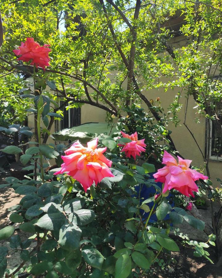 Guesthouse Ttt Tbilisi Exterior photo